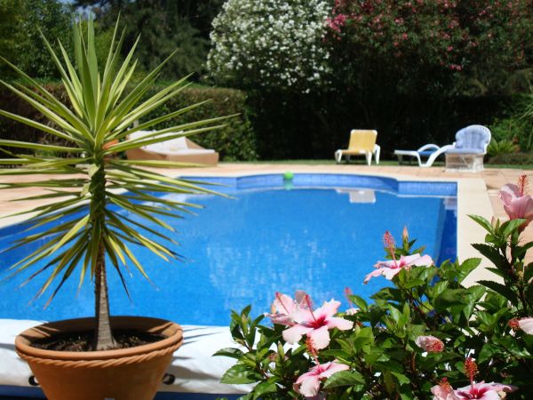 Pool Terrace Renovation in Waxhaw