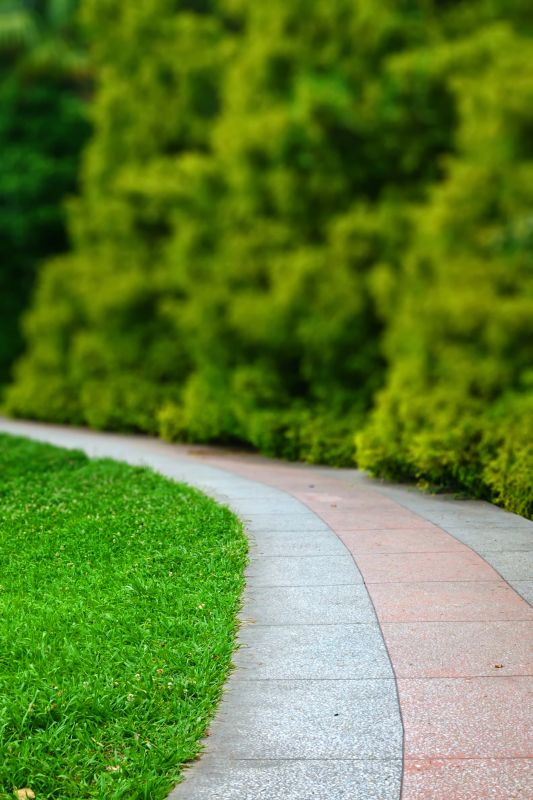 Eco-Friendly Paving Options